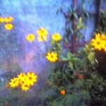 Mystical Halloween…