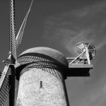 Windmills in the park…