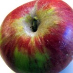 When the seagulls close in…